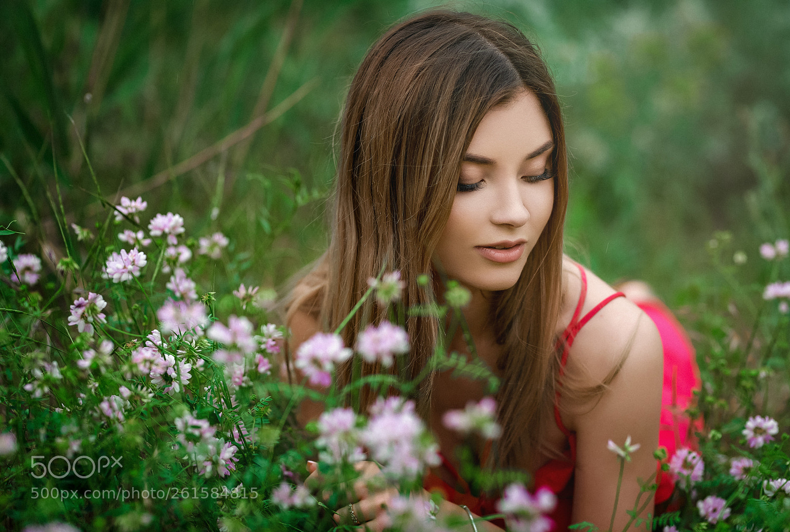 Nikon D850 sample photo. лето photography