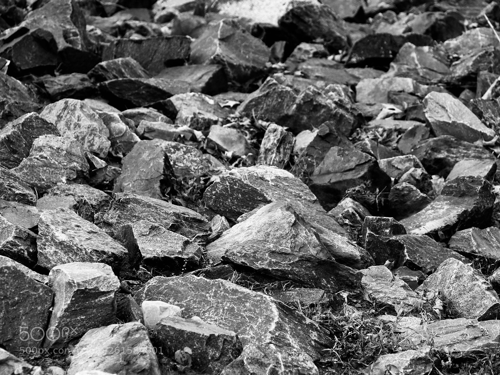 Canon EOS 80D sample photo. Untitled photography