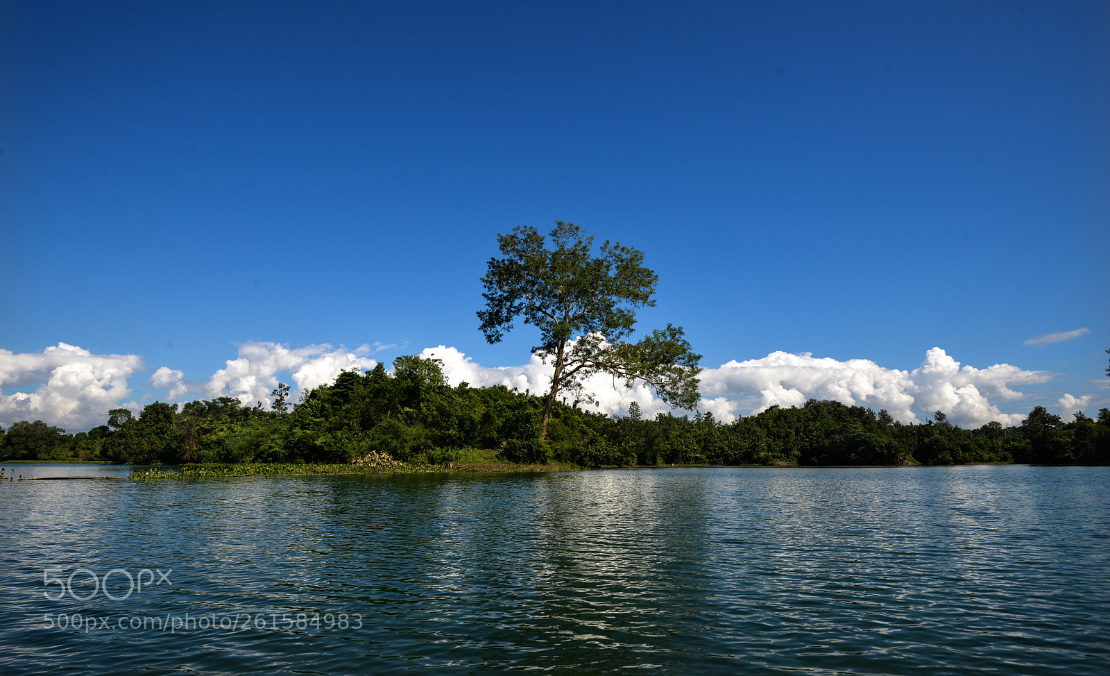 Nikon D800E sample photo. Kaptai lake photography