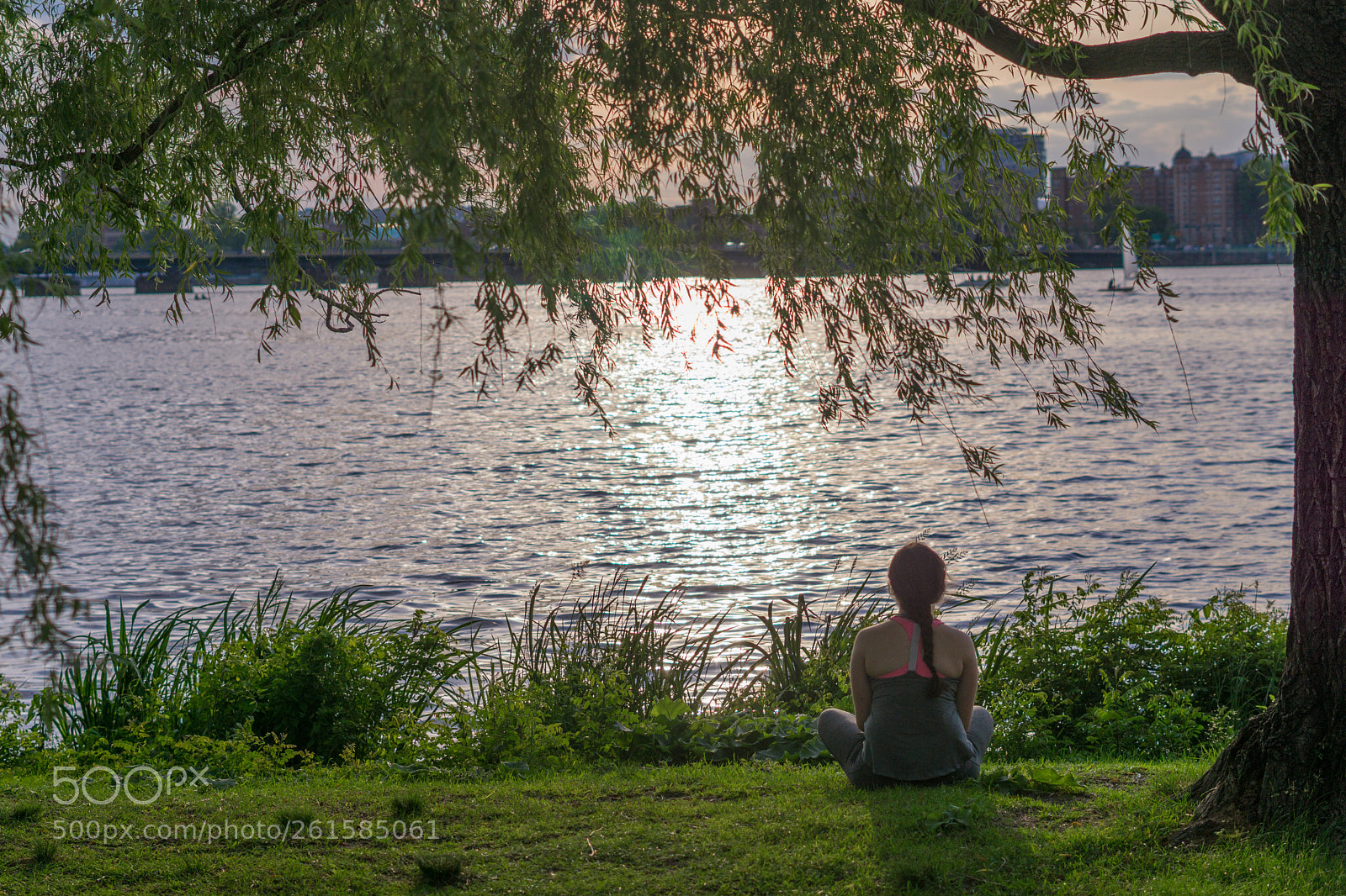 Sony a6000 sample photo. Dsc photography