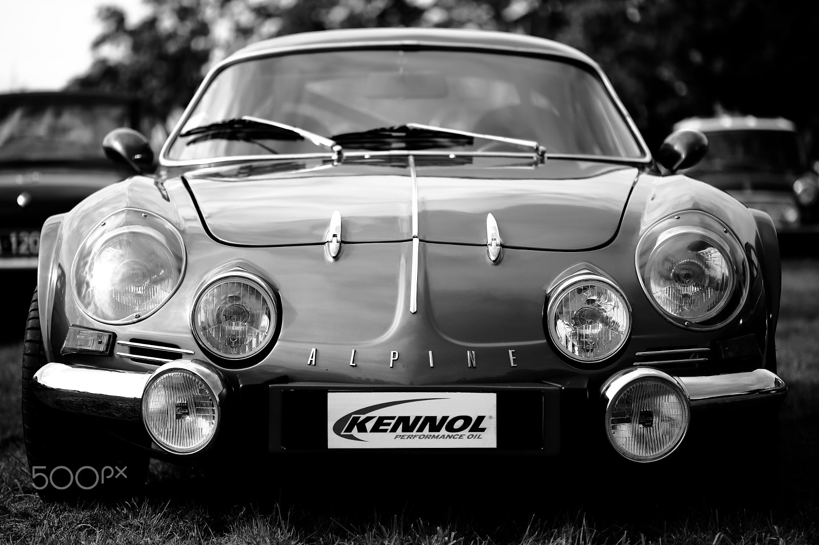Canon EOS 5D Mark II + Canon EF 100mm F2.8 Macro USM sample photo. Alpine a110 in black and white photography