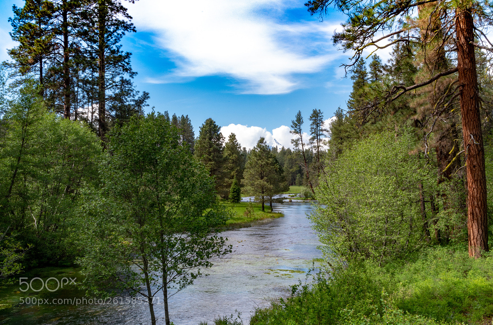 Pentax K-50 sample photo. Metolius river photography