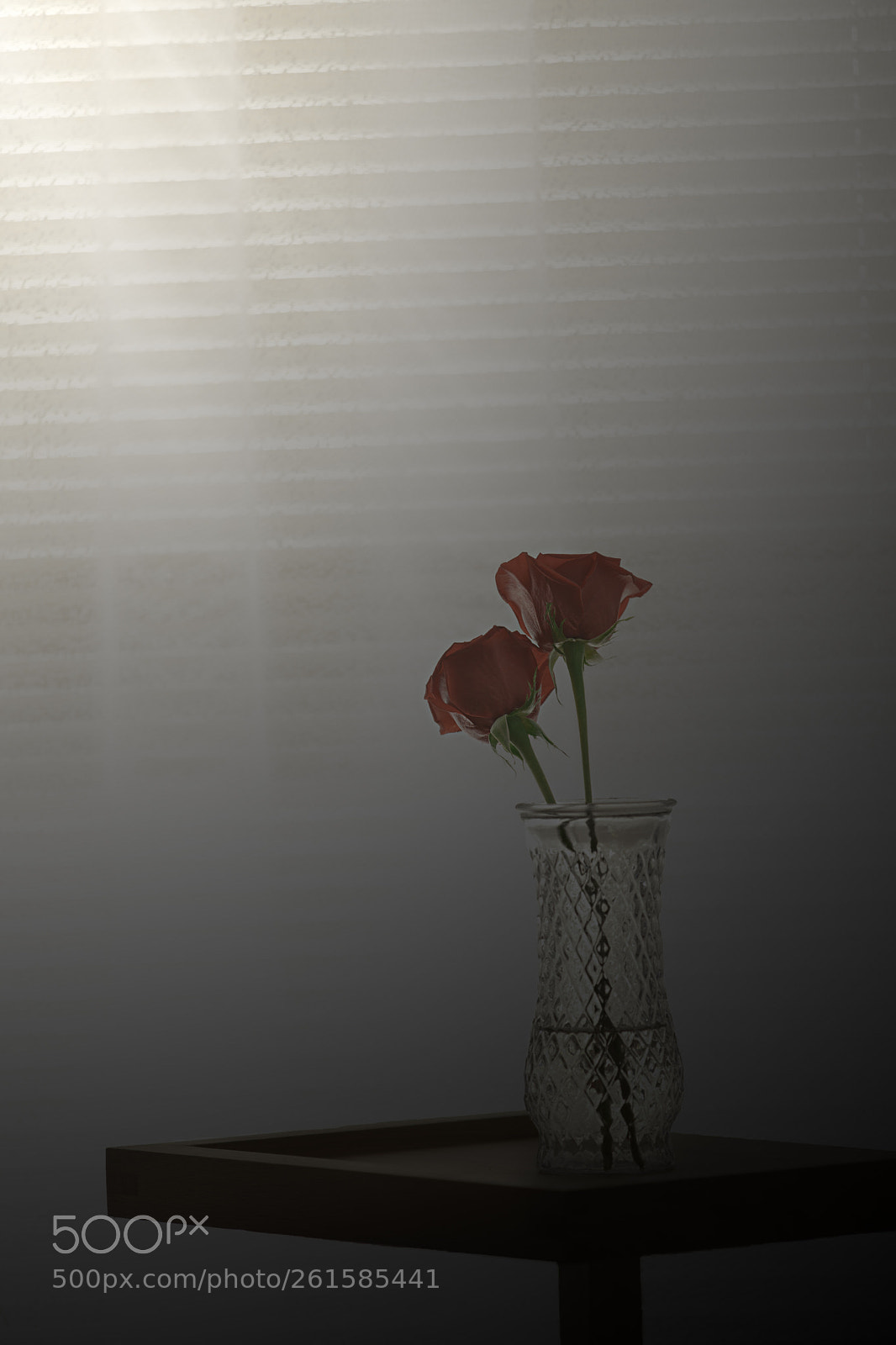 Canon EOS 5D Mark II sample photo. Untitled photography