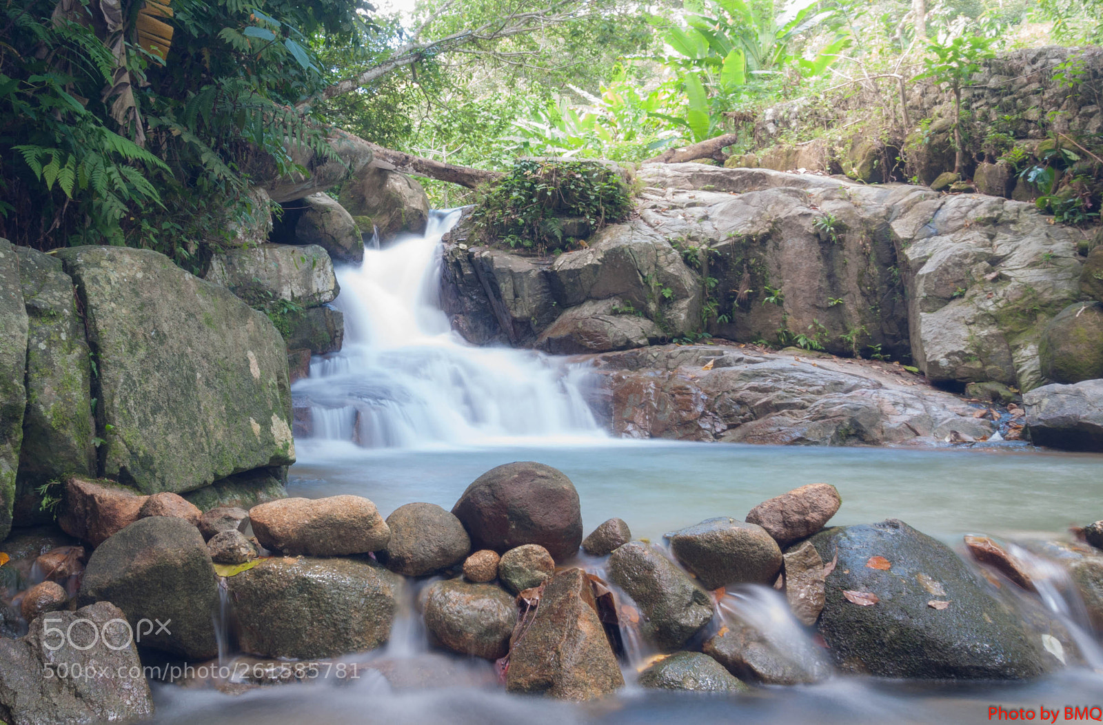 Nikon D300S sample photo. Bmq photography