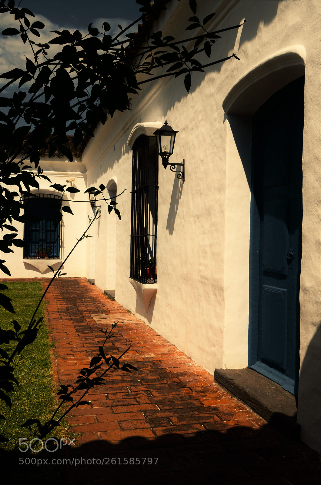 Nikon D5100 sample photo. Untitled photography