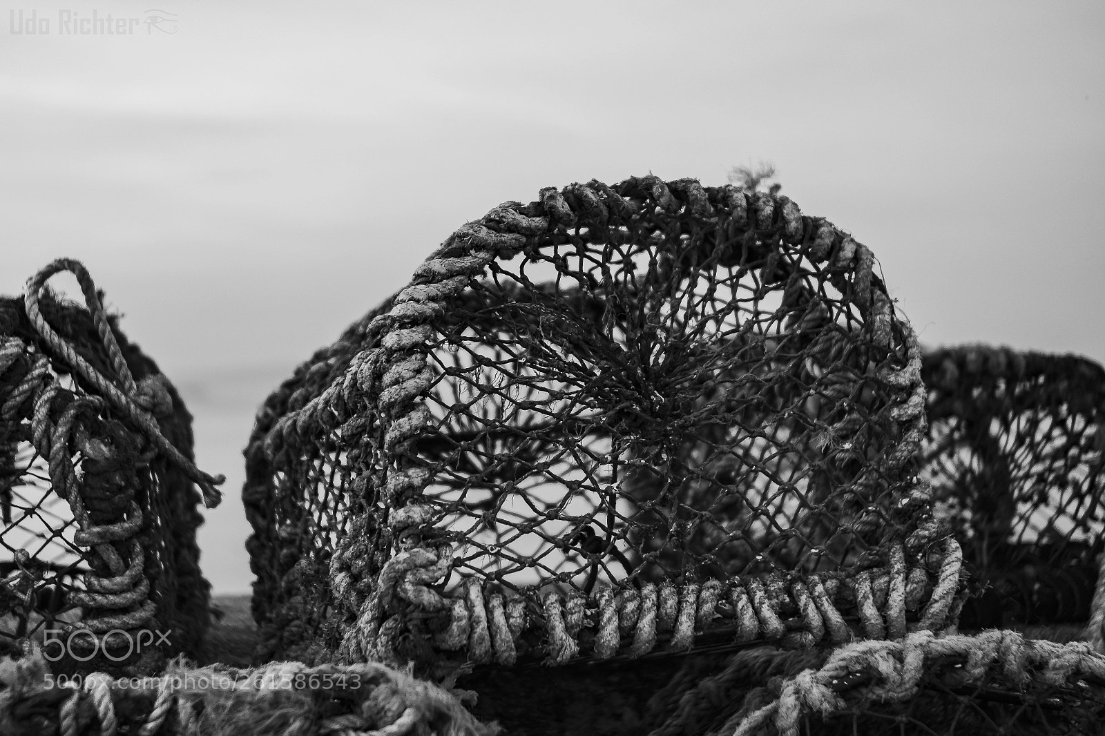 Fujifilm X-T20 sample photo. "lobster basket" photography