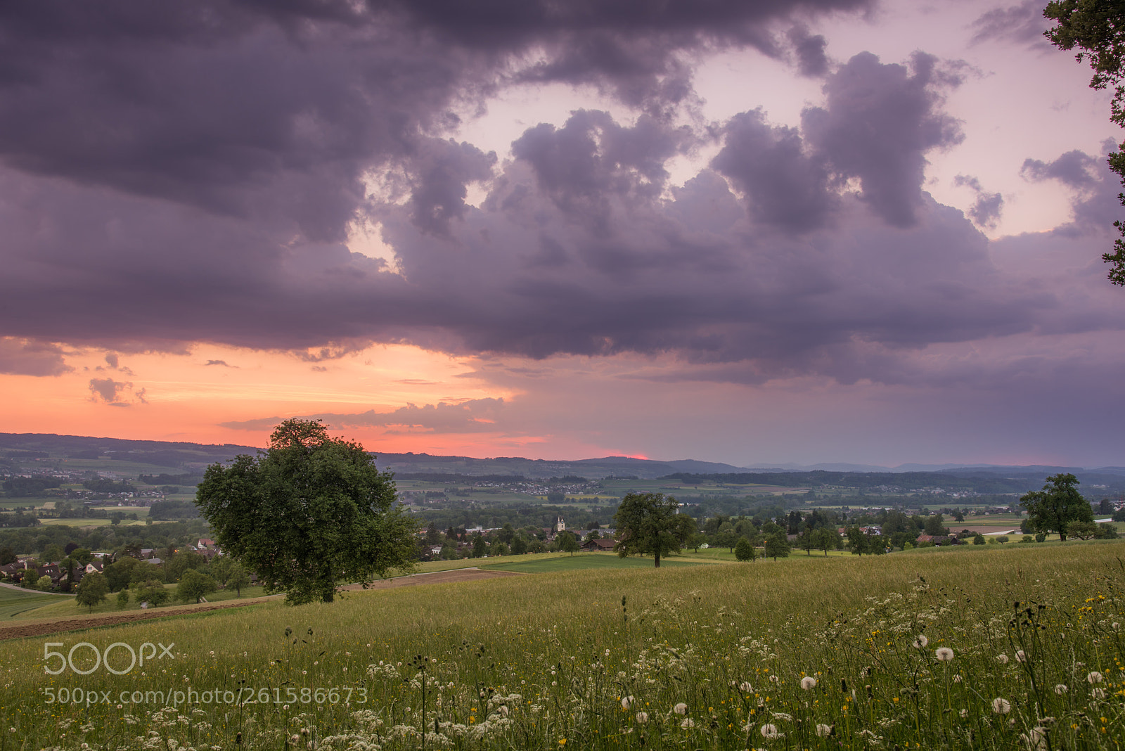 Nikon D810 sample photo. Sonnenuntergang über ottebach photography