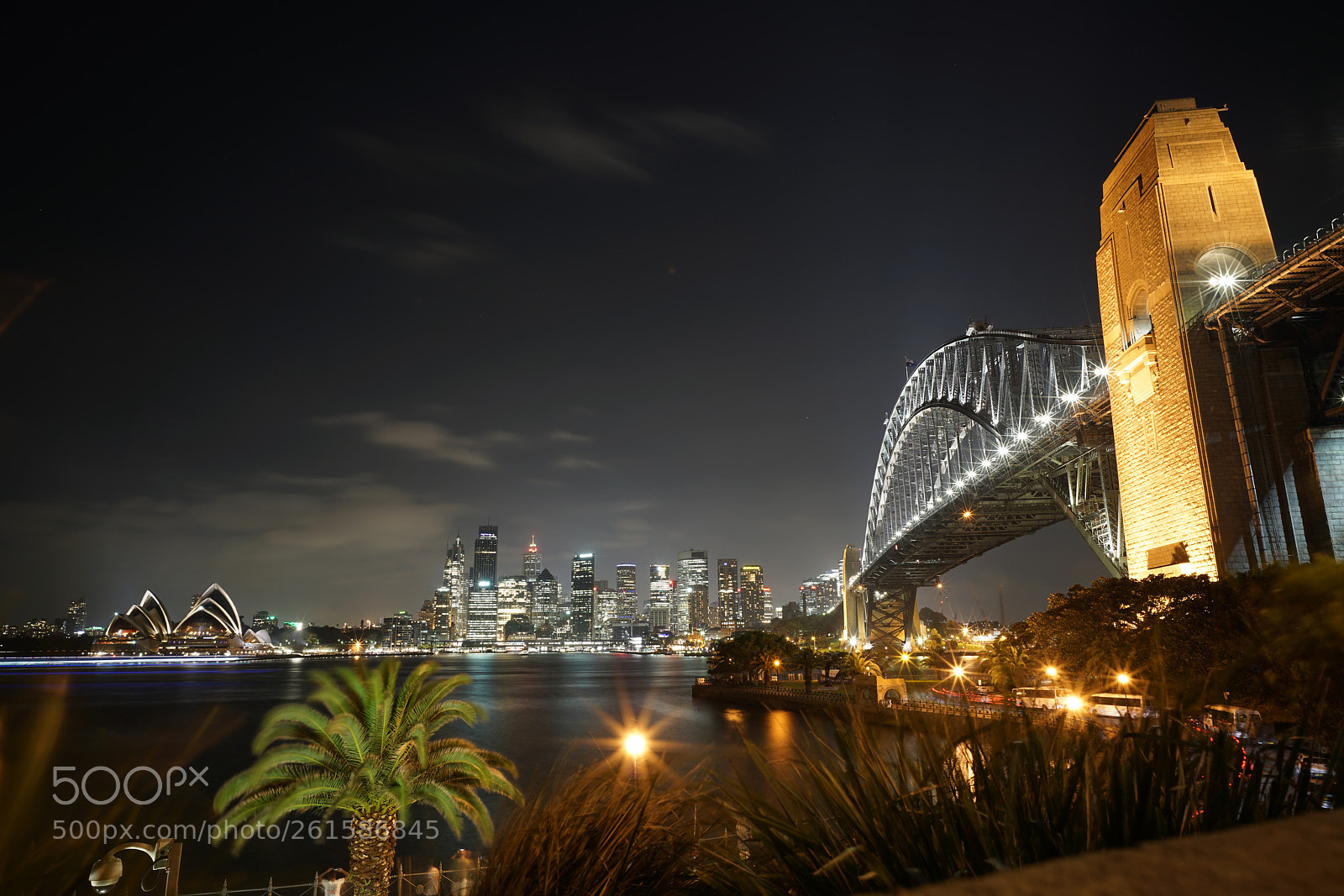 Sony a7R II sample photo. Arm photography