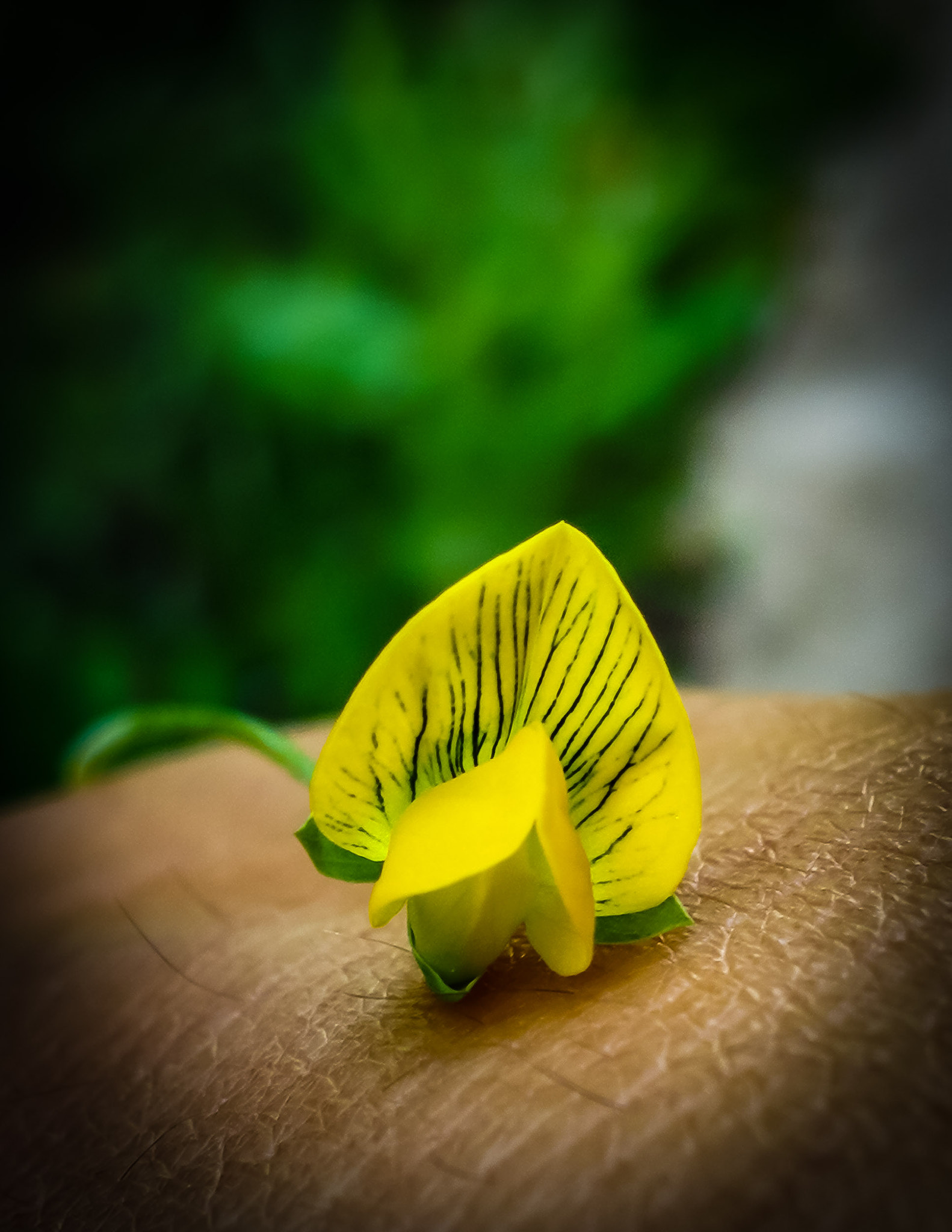 HUAWEI Mate 9 sample photo