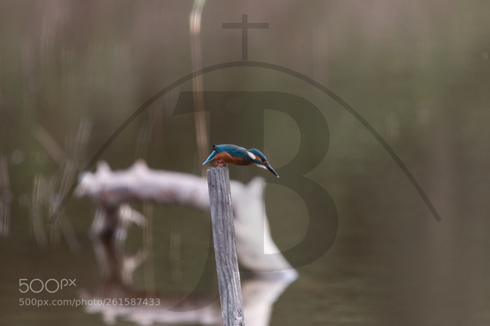 Canon EOS 70D sample photo. Here we go! photography