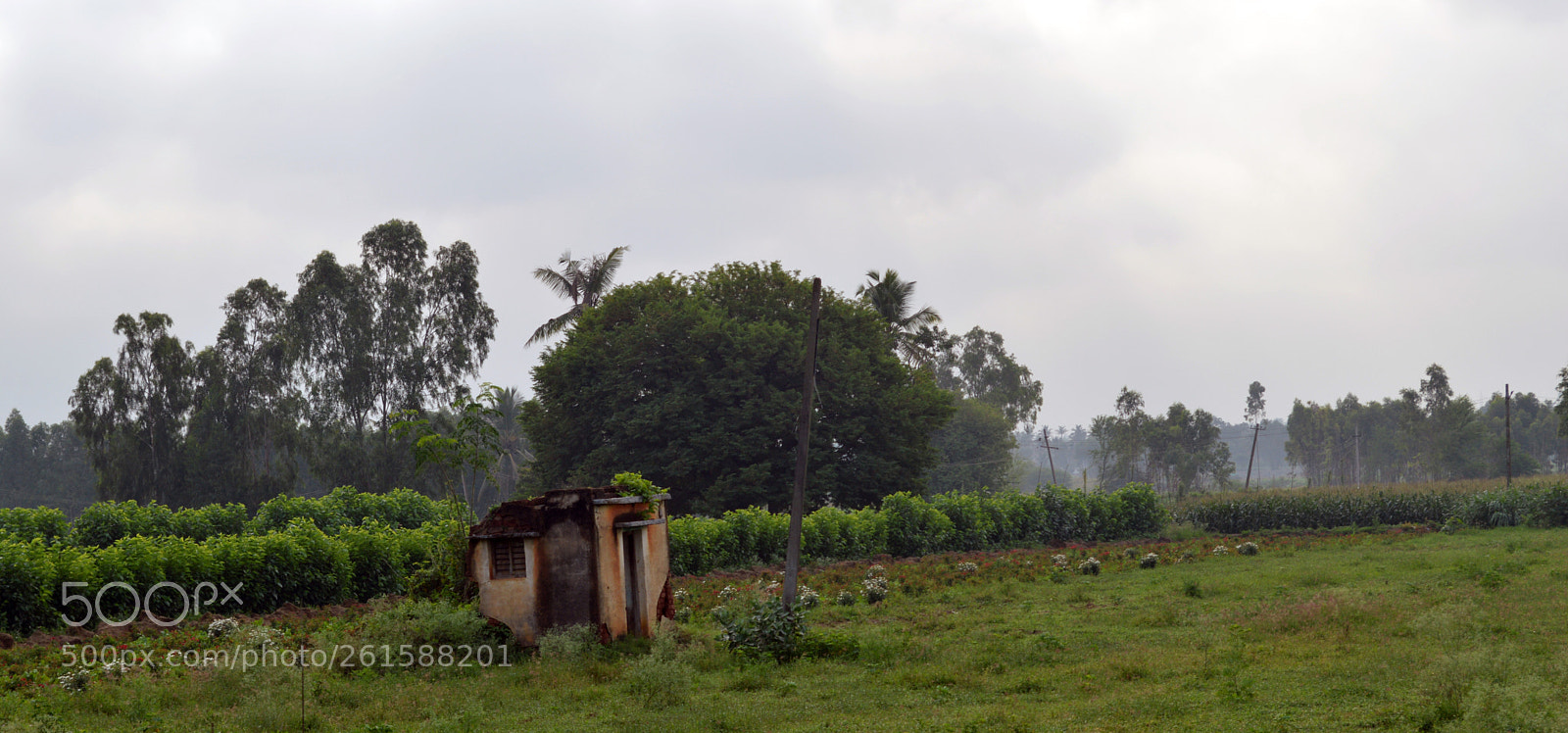 Nikon D3200 sample photo. Dsc photography