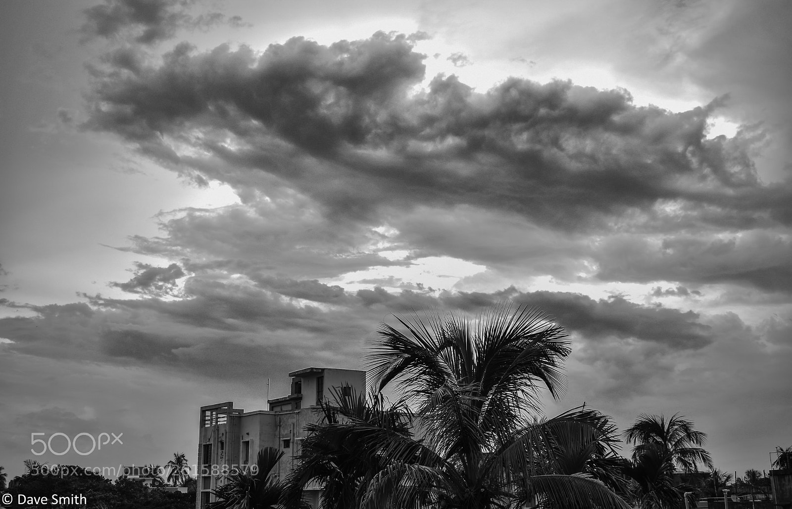 Nikon D3400 sample photo. Untitled photography