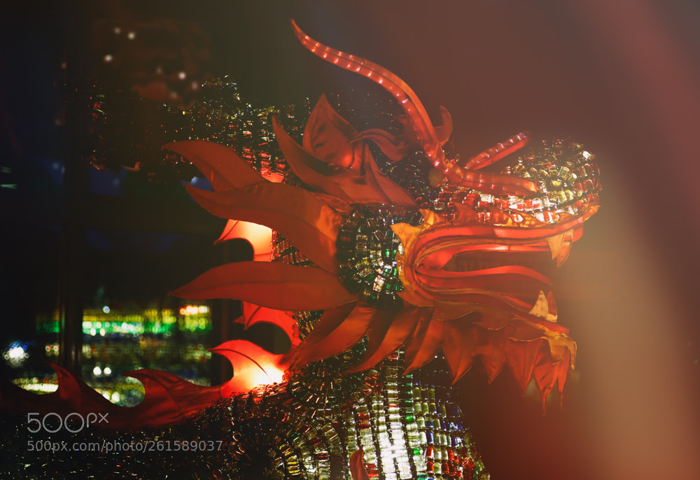 Canon EOS 6D sample photo. Chinese lantern festival photography