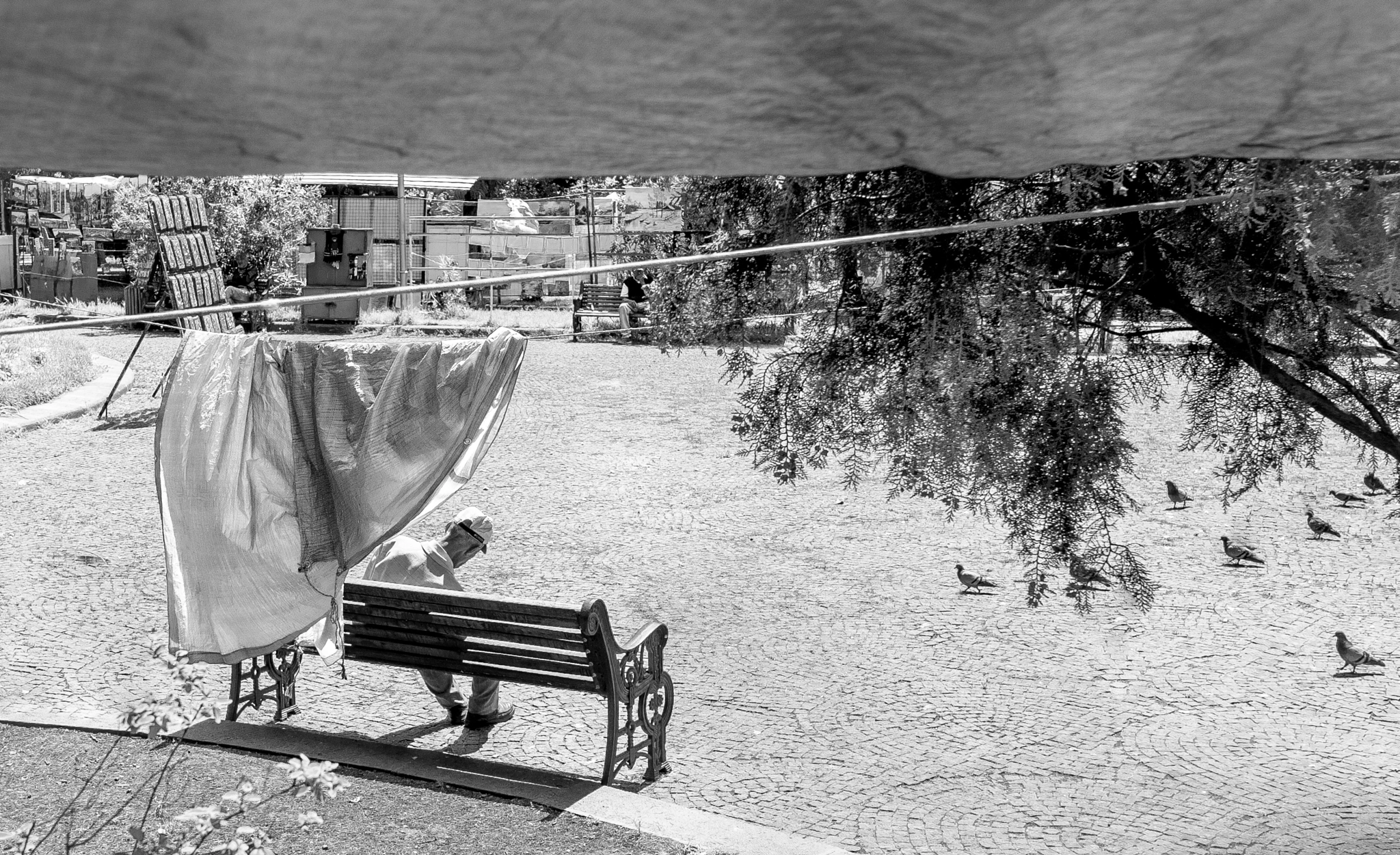Leica X (Typ 113) sample photo. Scene photography