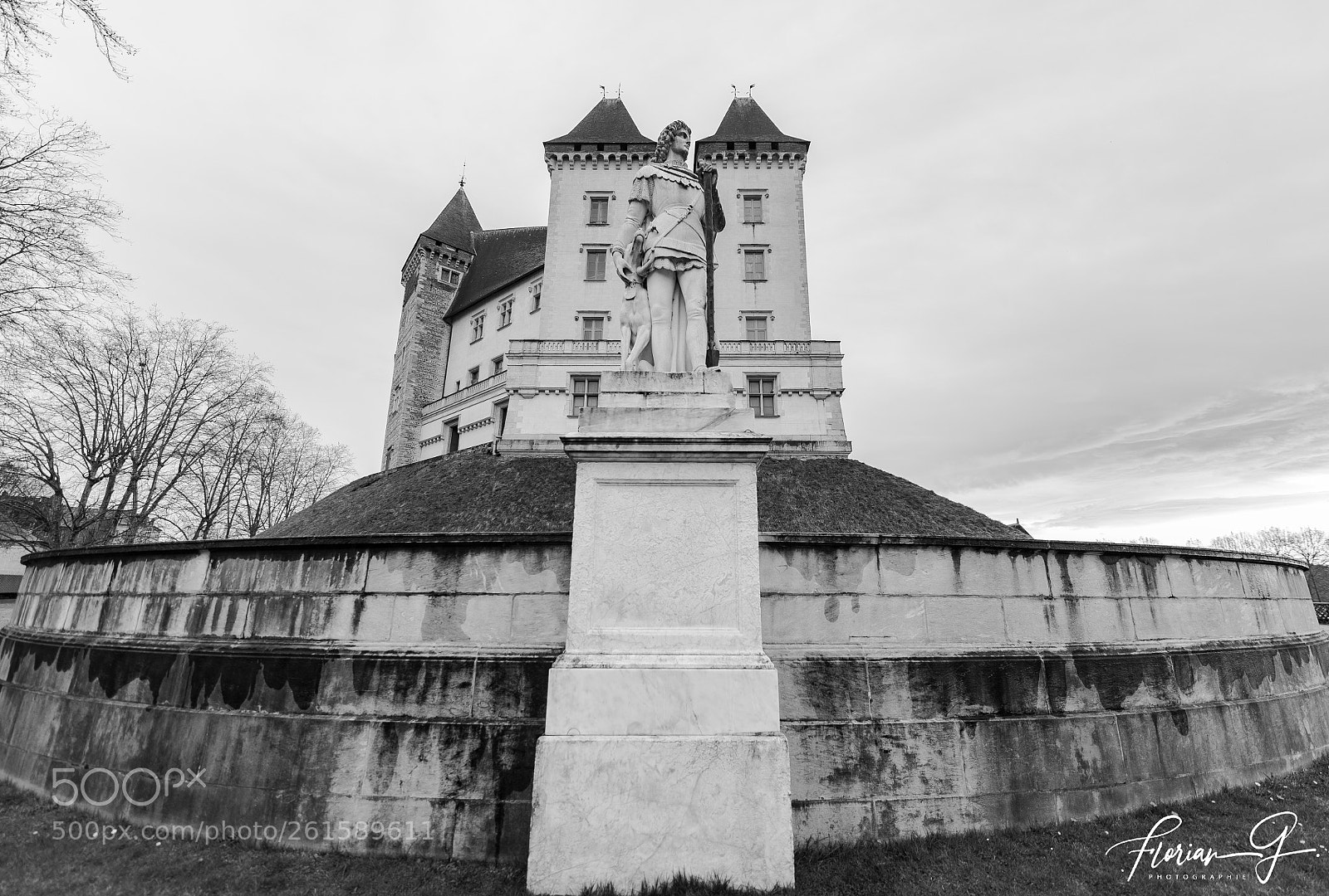 Nikon D610 sample photo. Chateau de pau photography