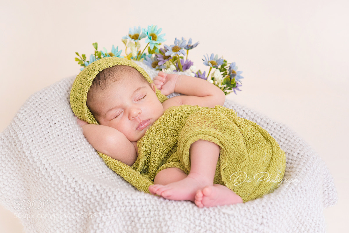 Nikon D750 sample photo. The beginning photography