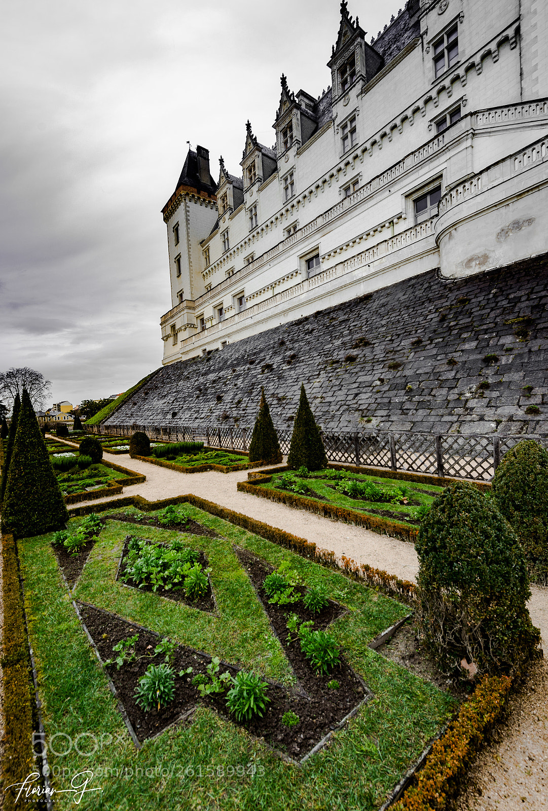 Nikon D610 sample photo. Chateau de pau photography
