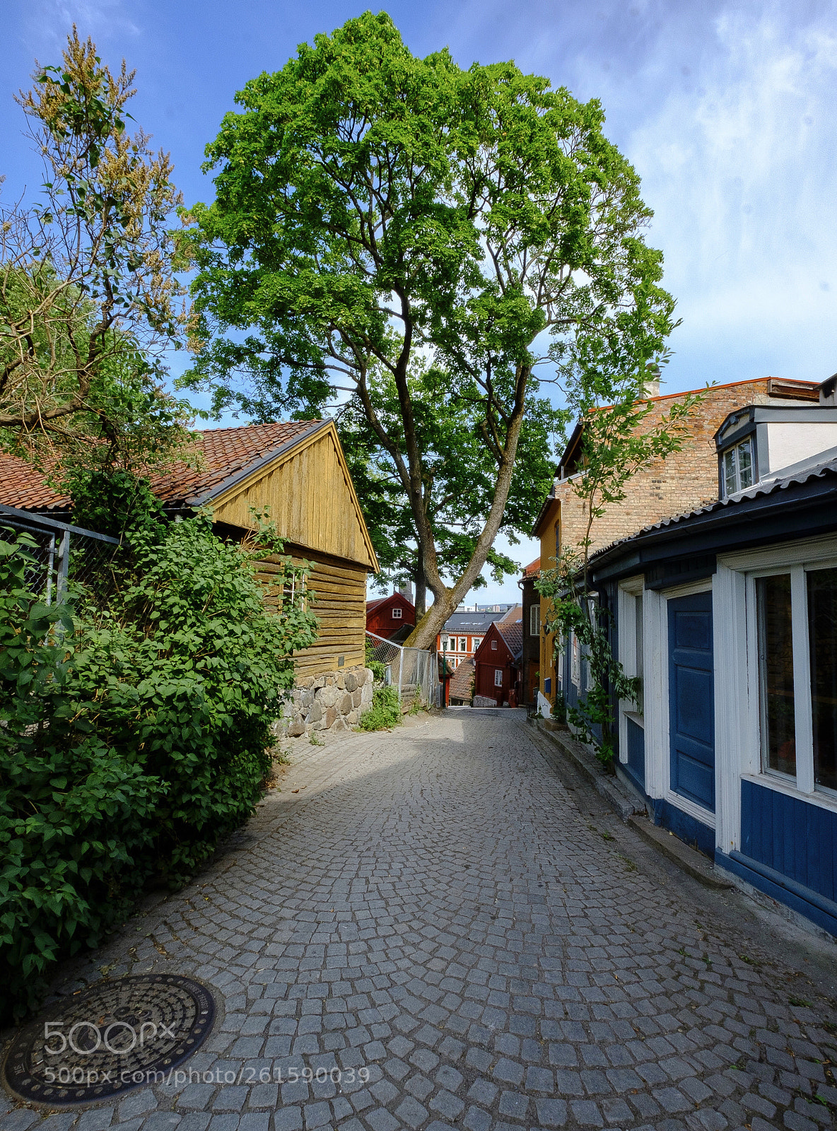 Fujifilm X-T2 sample photo. Damstredet i oslo photography