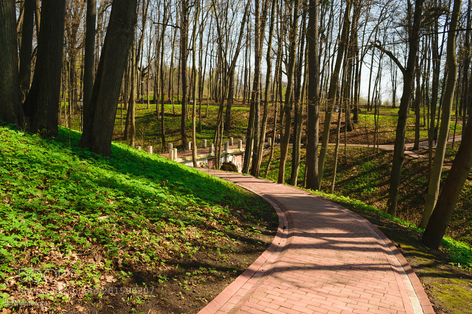 Nikon D3300 sample photo. Path in tsaritsyno photography