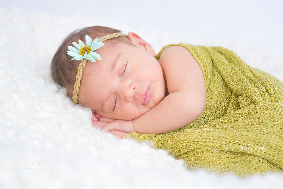 Nikon D750 sample photo. 78545 photography