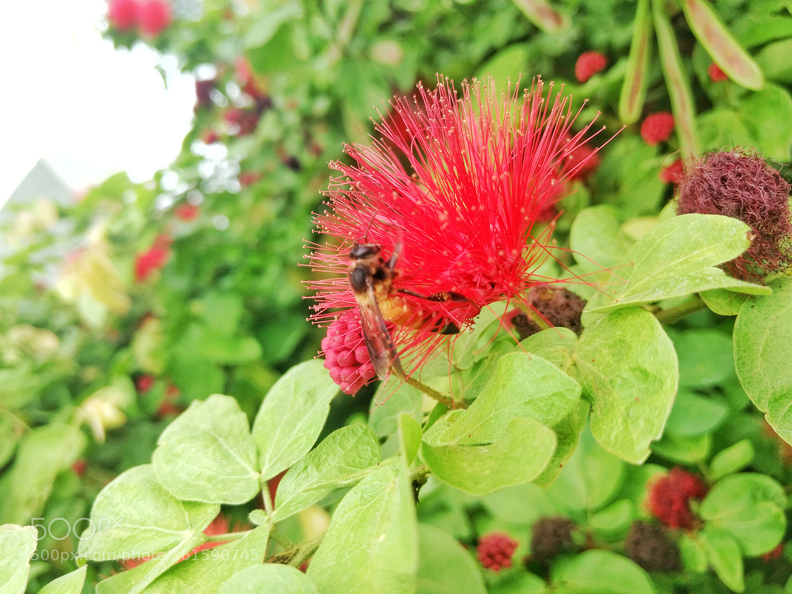 Motorola Moto G (4) sample photo. Weekend are so... motivational photography