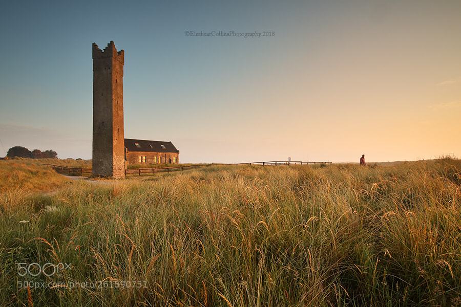 Canon EOS 5D Mark IV sample photo. Mornington, county meath photography