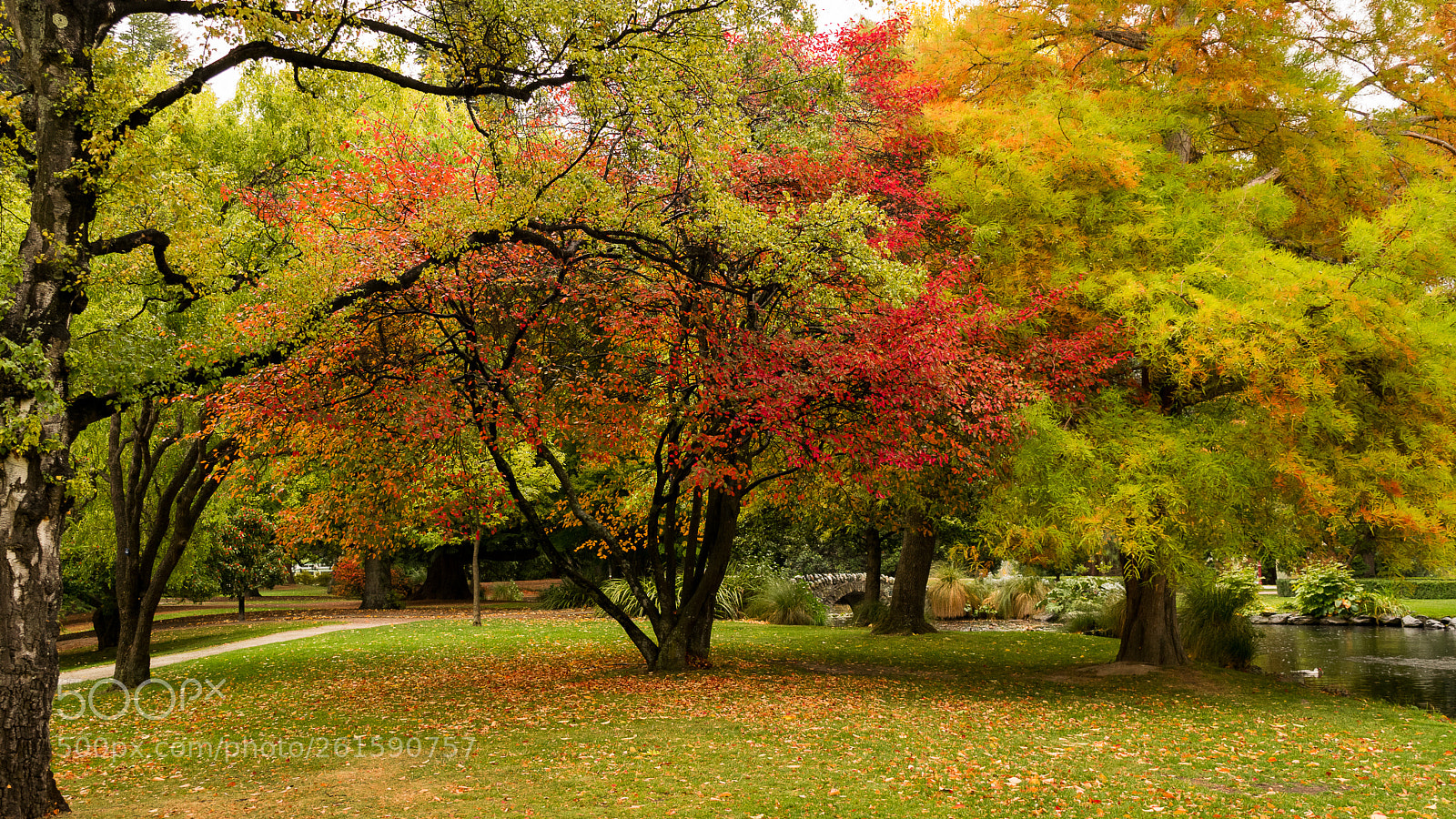 Nikon D3300 sample photo. Queenstown garden photography