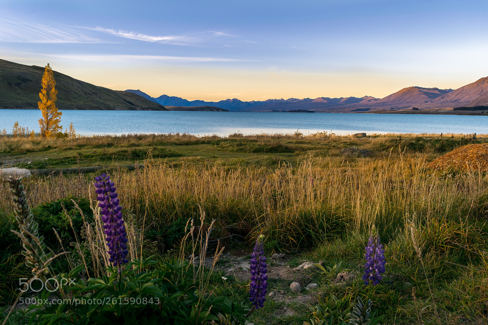 Nikon D3300 sample photo. Lake tekapo photography