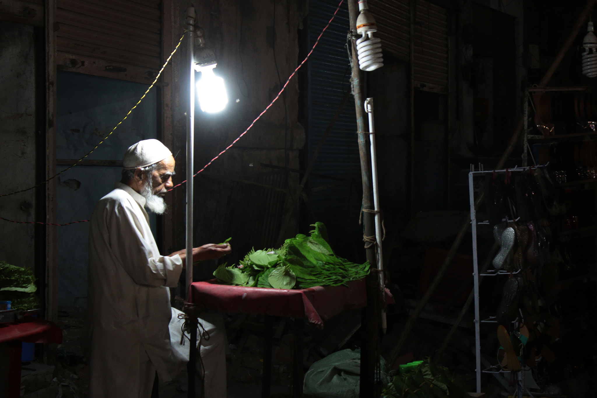Canon EOS 70D sample photo. Beetle leaves seller photography