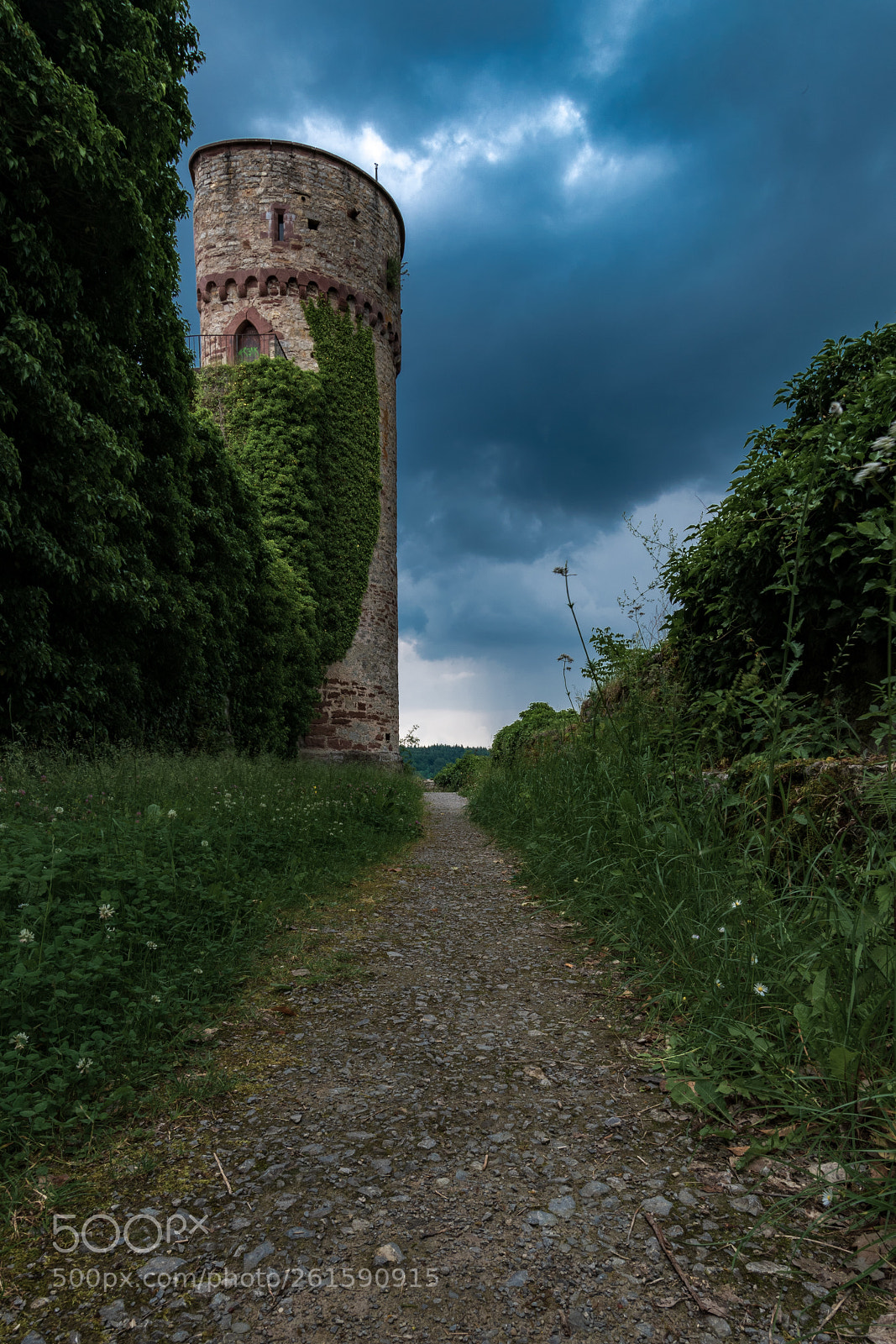 Nikon D5600 sample photo. Castle ruin hohennagold photography