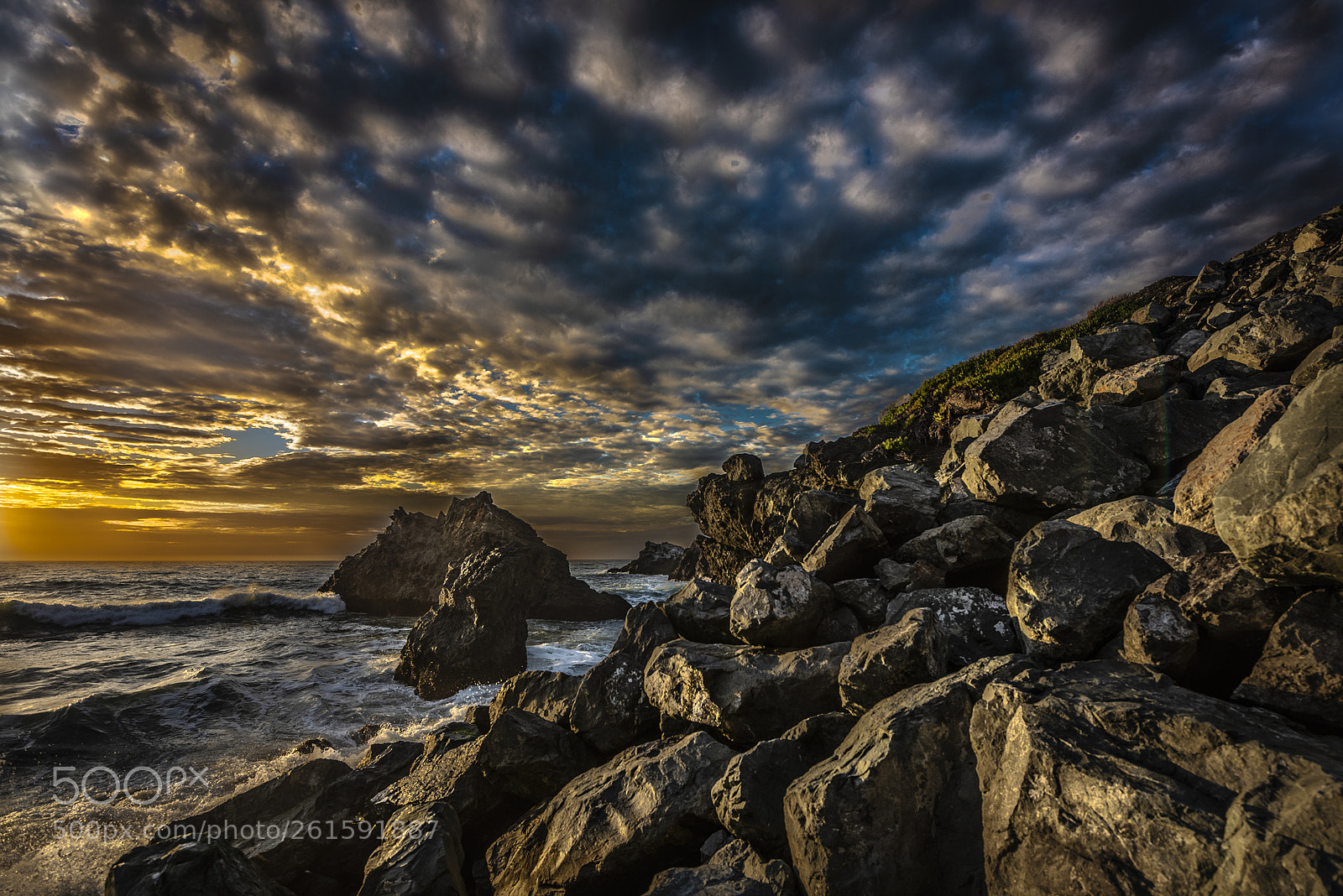 Nikon D810 sample photo. Mussel rock open space photography