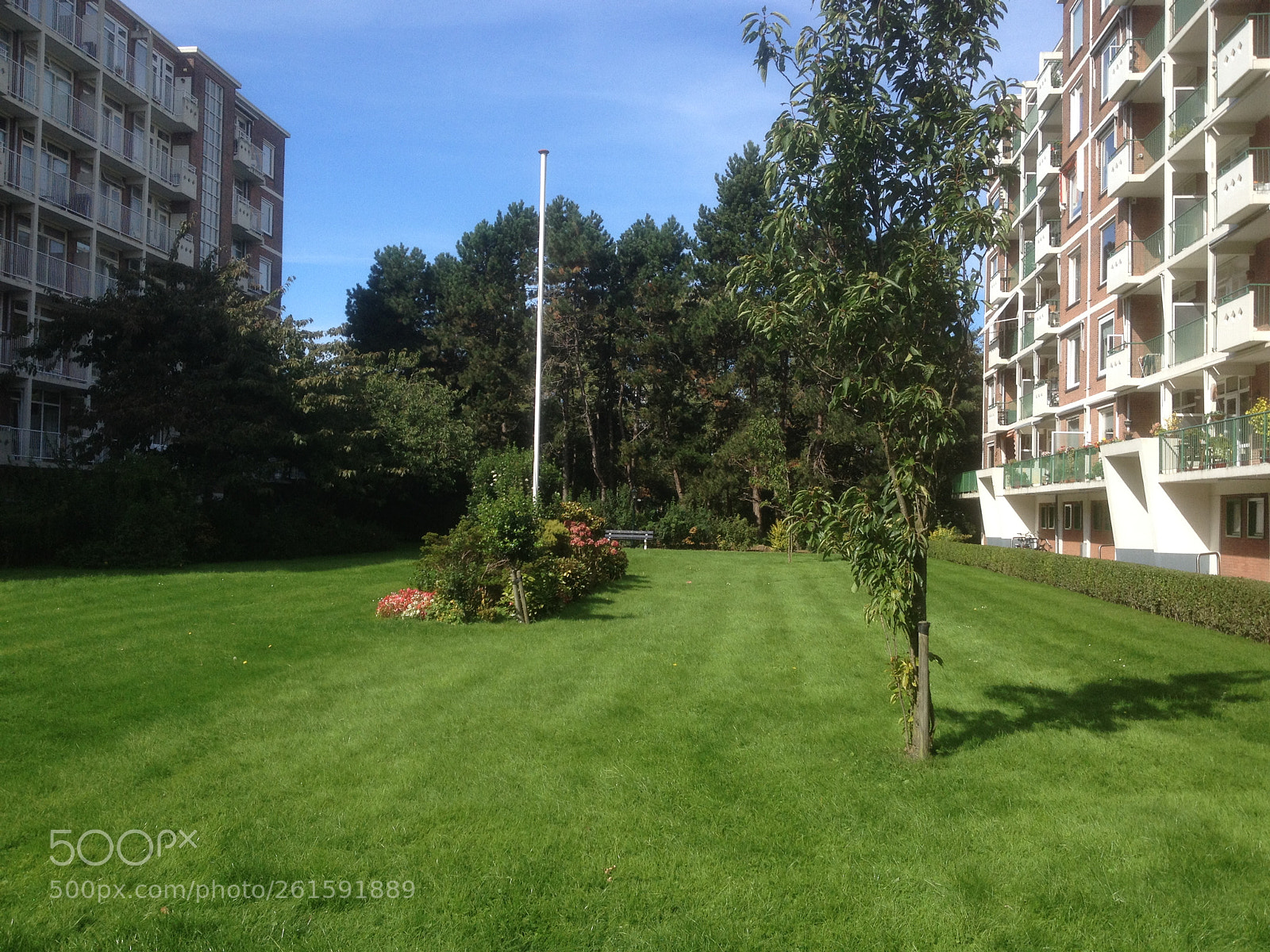 Apple iPhone 4S sample photo. Ranonkelstraat photography