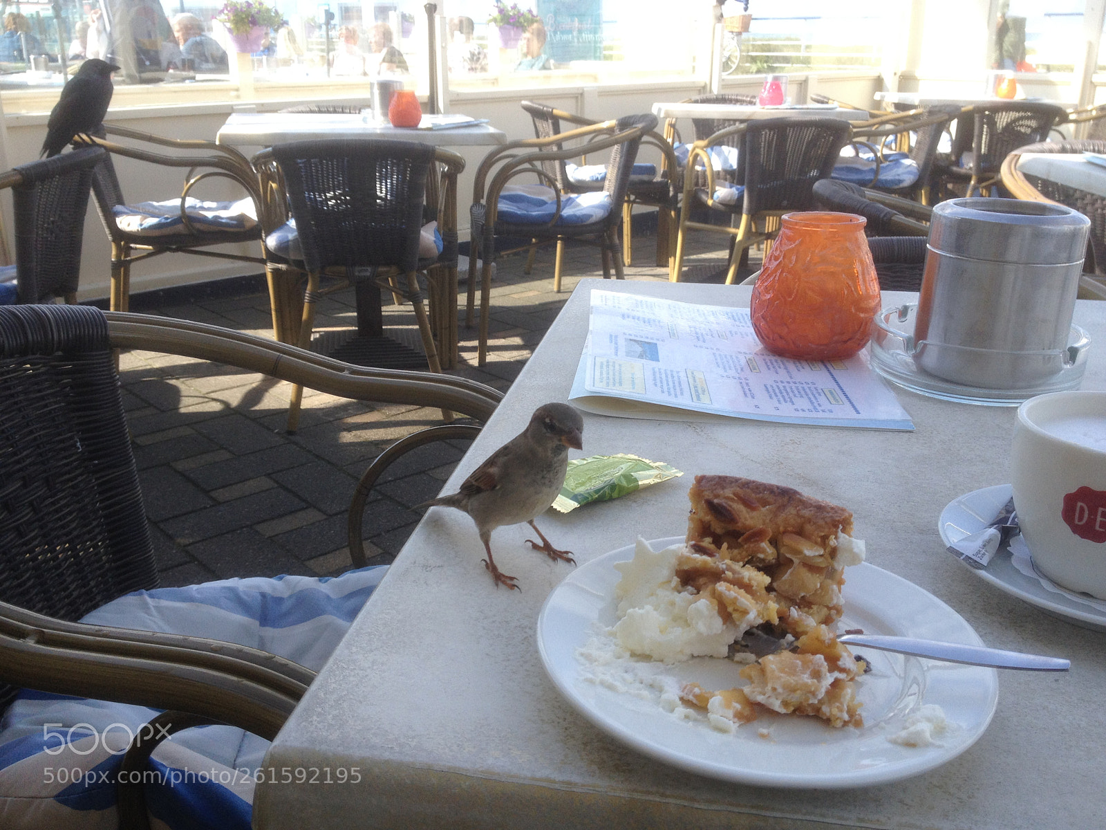 Apple iPhone 4S sample photo. Keep your eye on photography