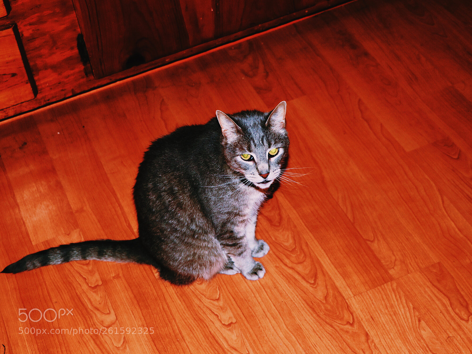 Canon EOS 80D sample photo. Untitled photography