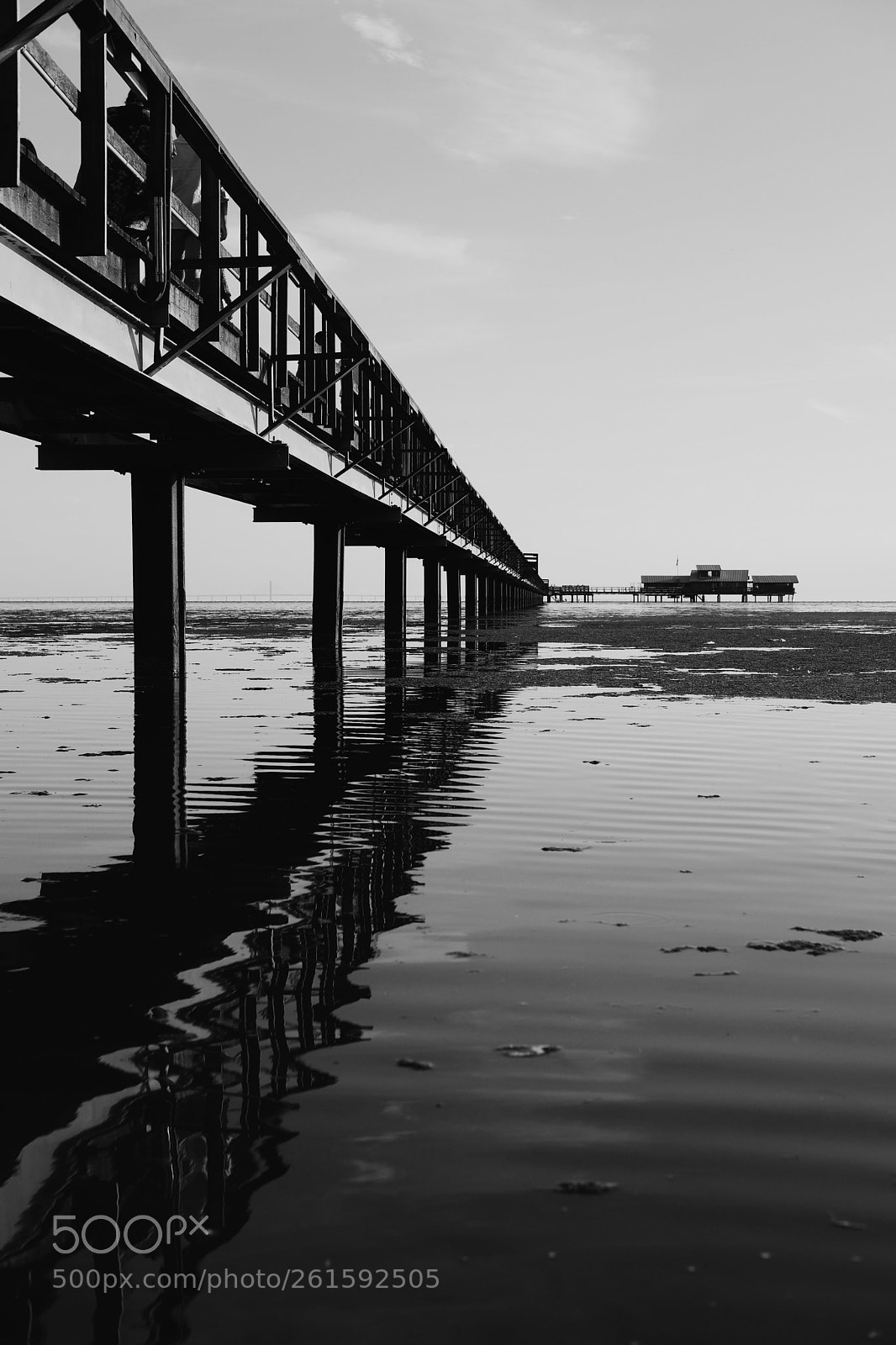 Fujifilm X-T2 sample photo. Shallow water photography