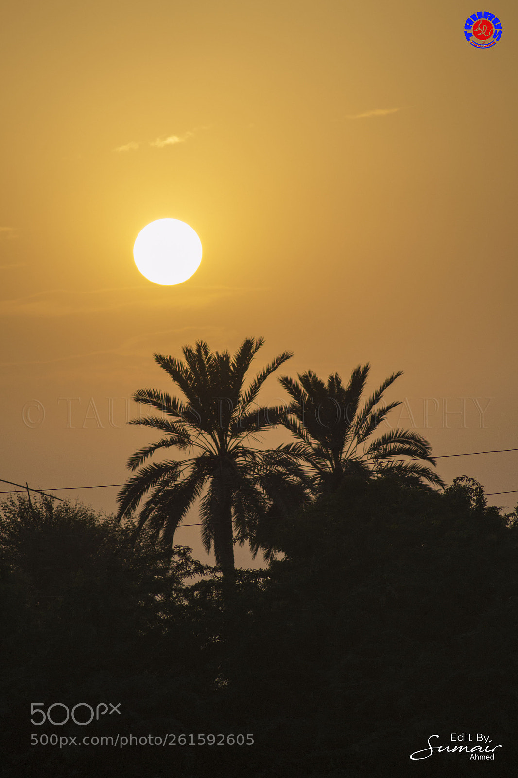 Nikon D3100 sample photo. My village photography