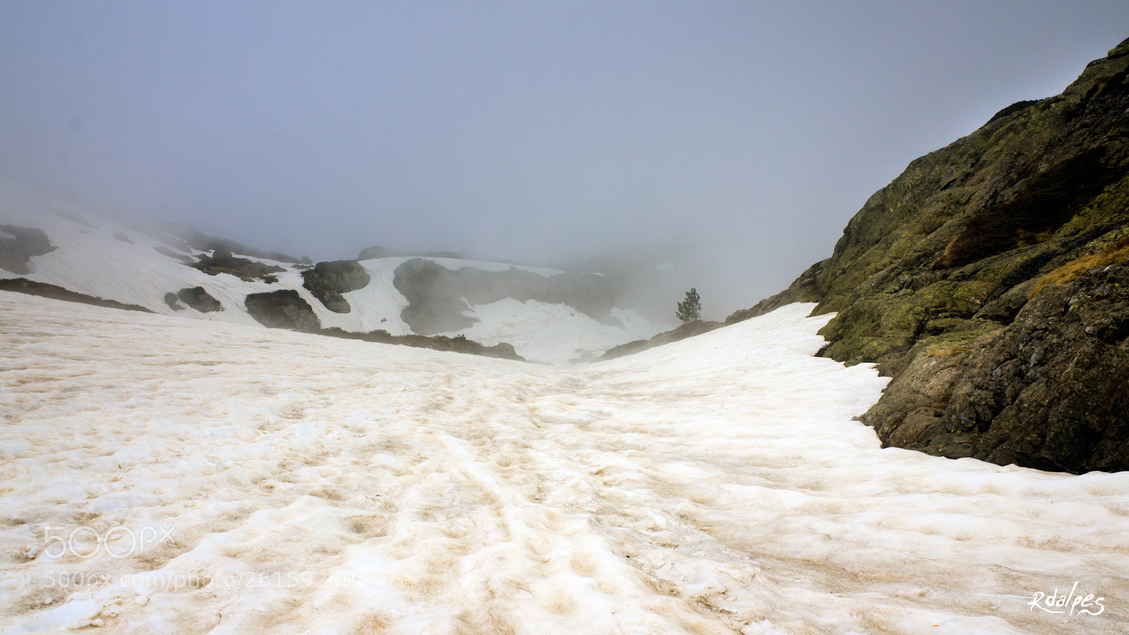 Nikon D7000 sample photo. Some snow left photography
