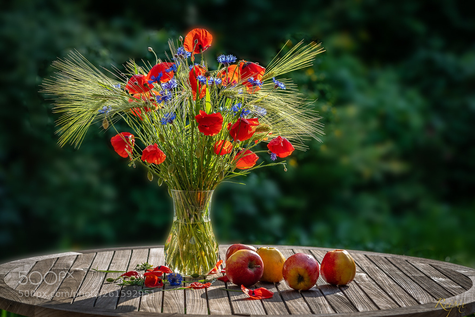 Sony a7R III sample photo. Untitled photography