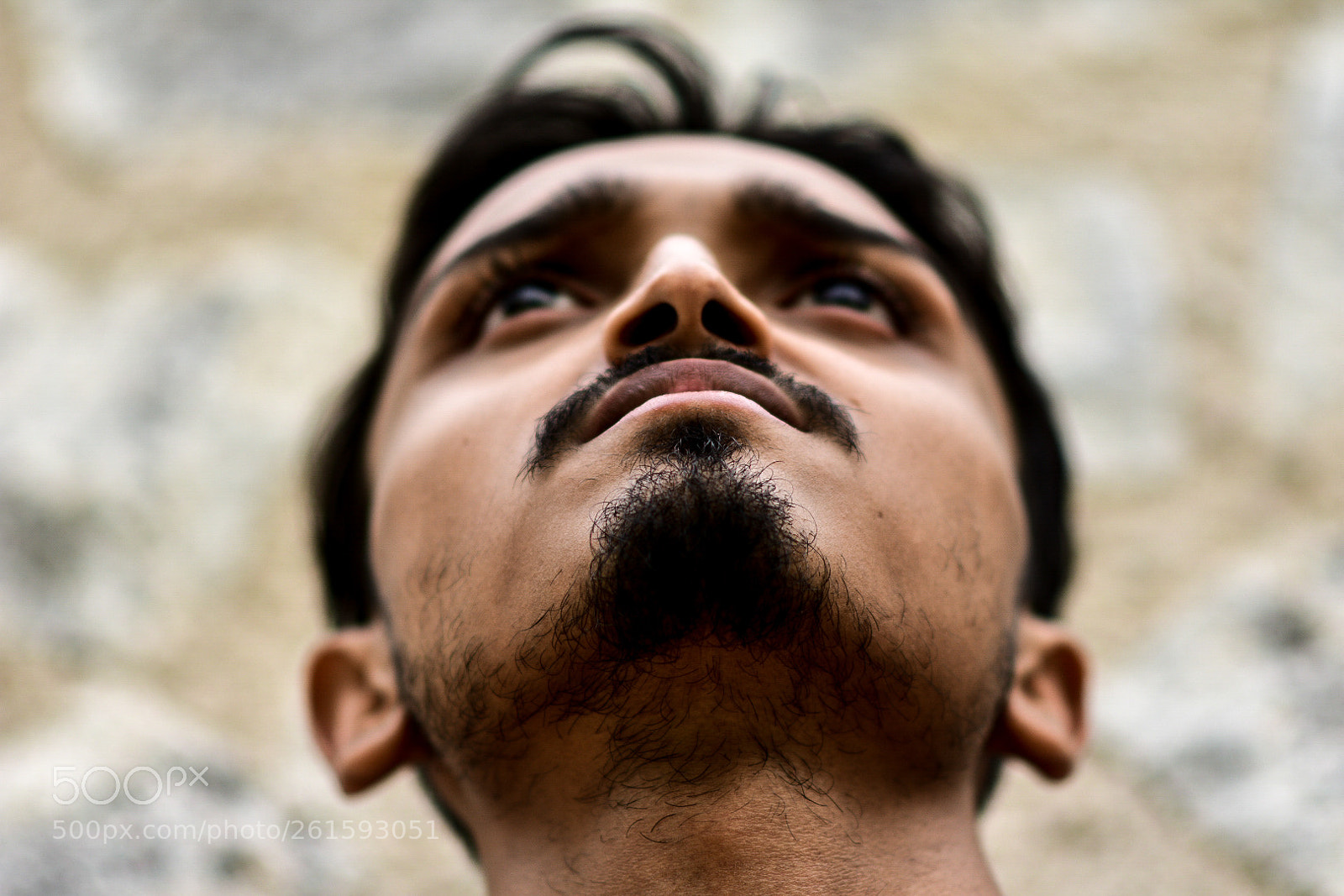 Nikon D3400 sample photo. Untitled photography