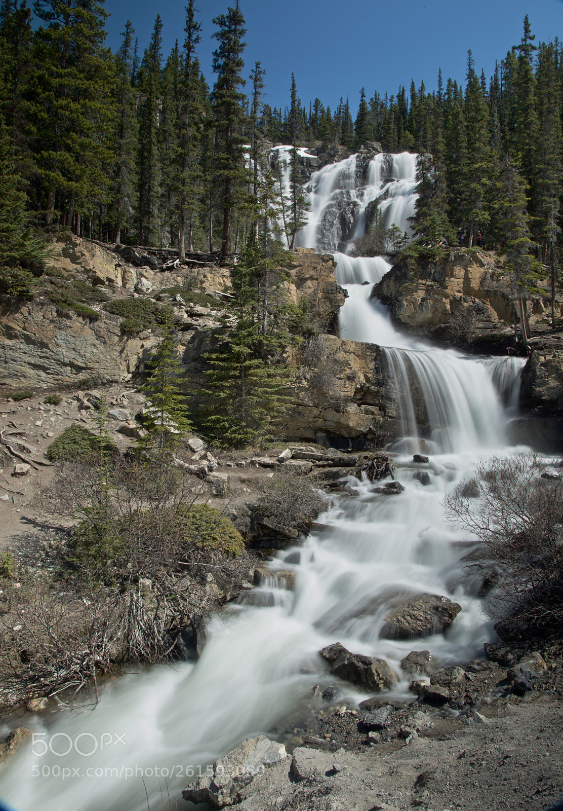 Nikon D800 sample photo. Tangle creek falls photography