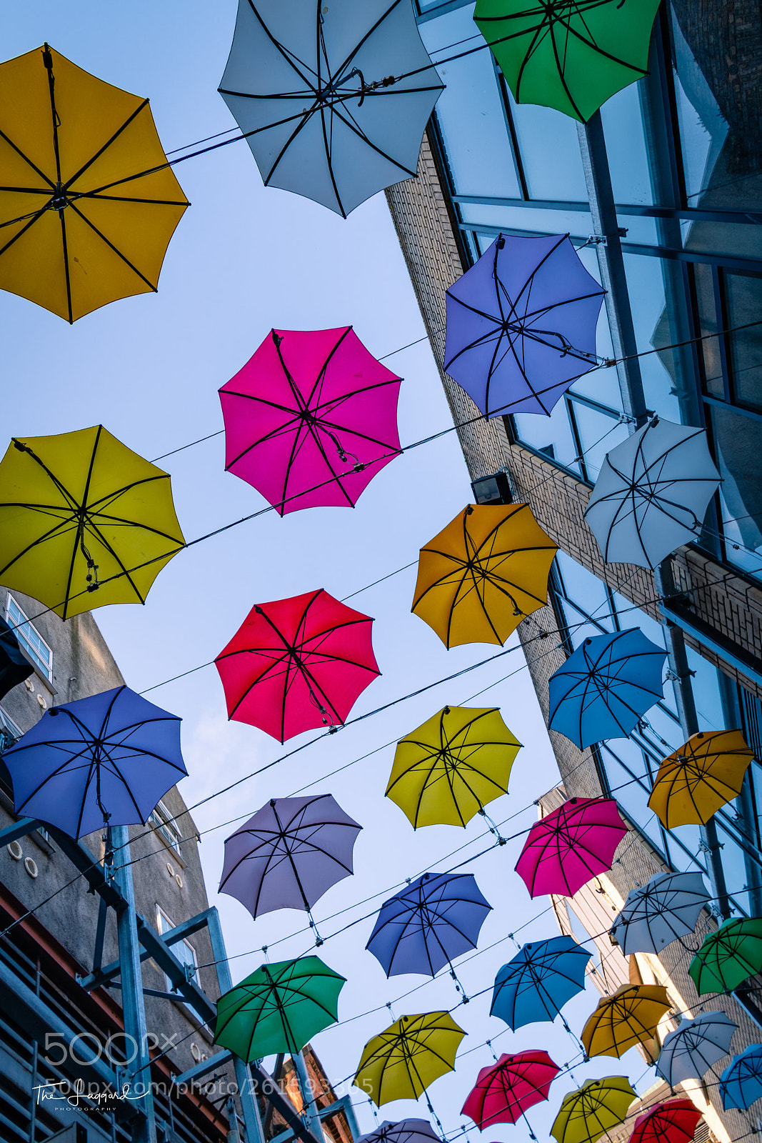Nikon D850 sample photo. Look up! photography