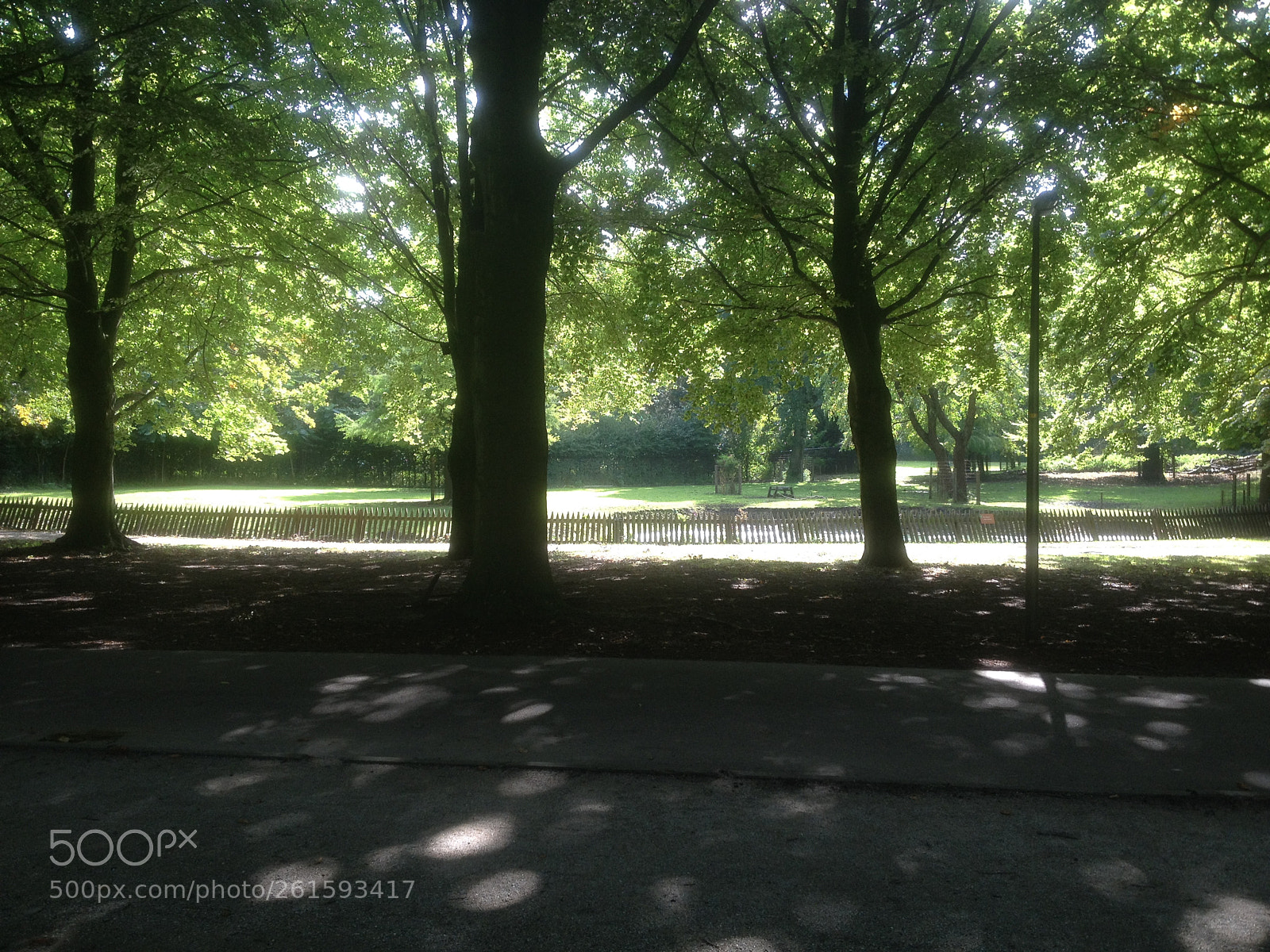 Apple iPhone 4S sample photo. Koekamplaan photography