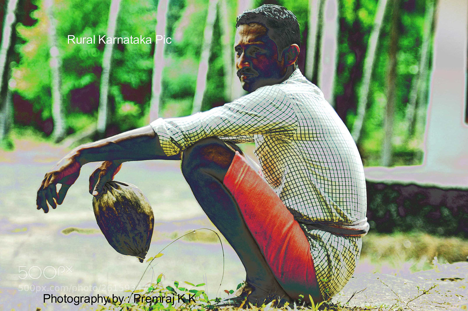 Nikon D90 sample photo. Untitled photography
