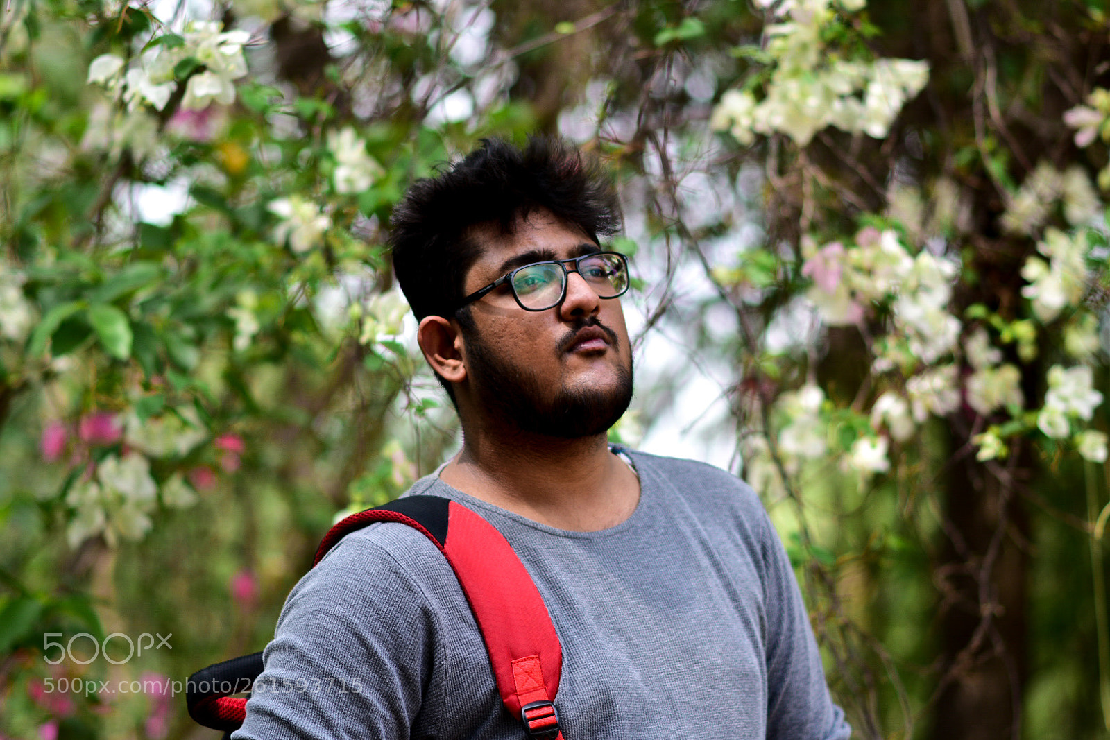 Nikon D3400 sample photo. Untitled photography