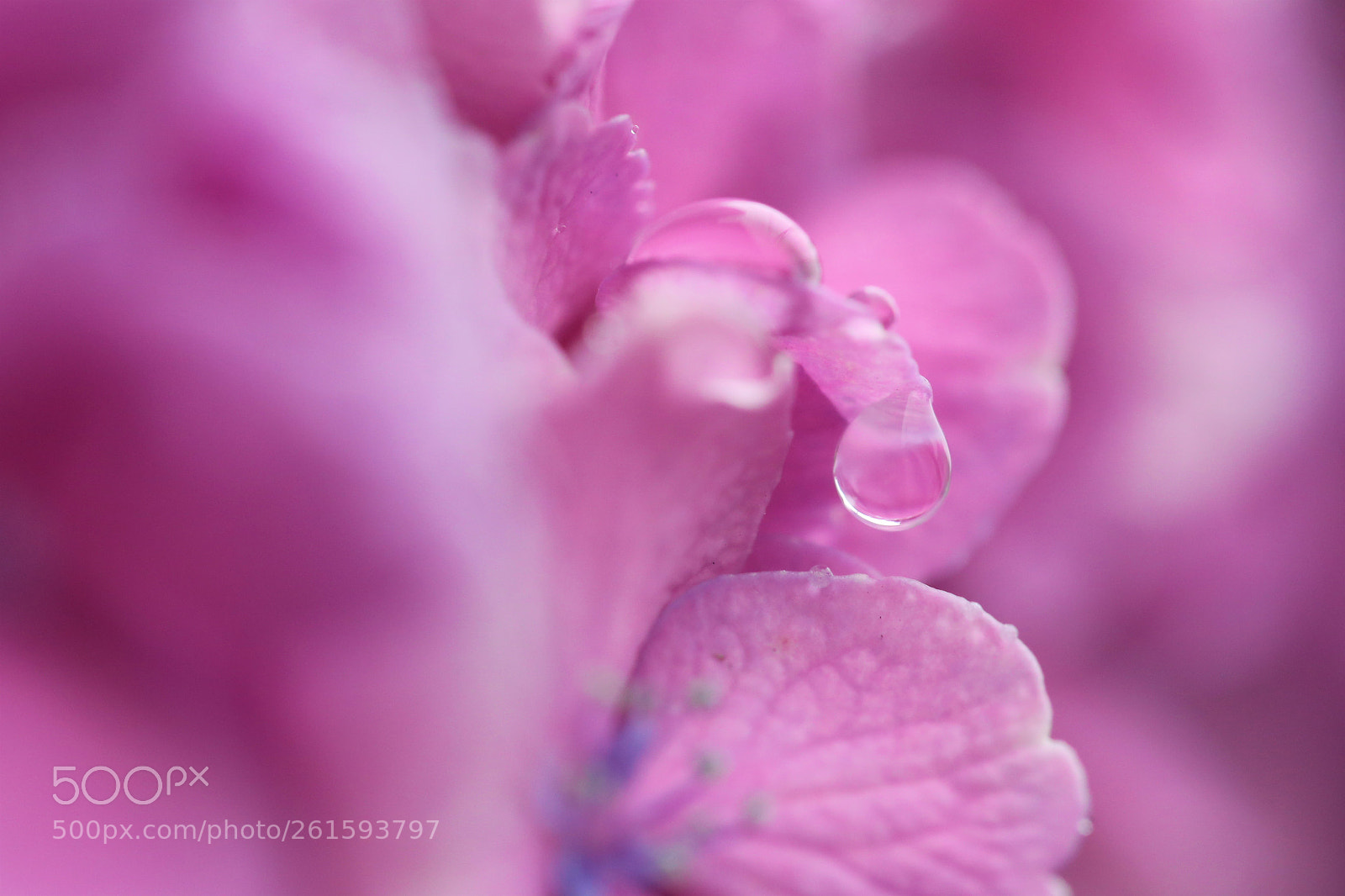 Canon EOS 6D sample photo. Rainy season 2 photography