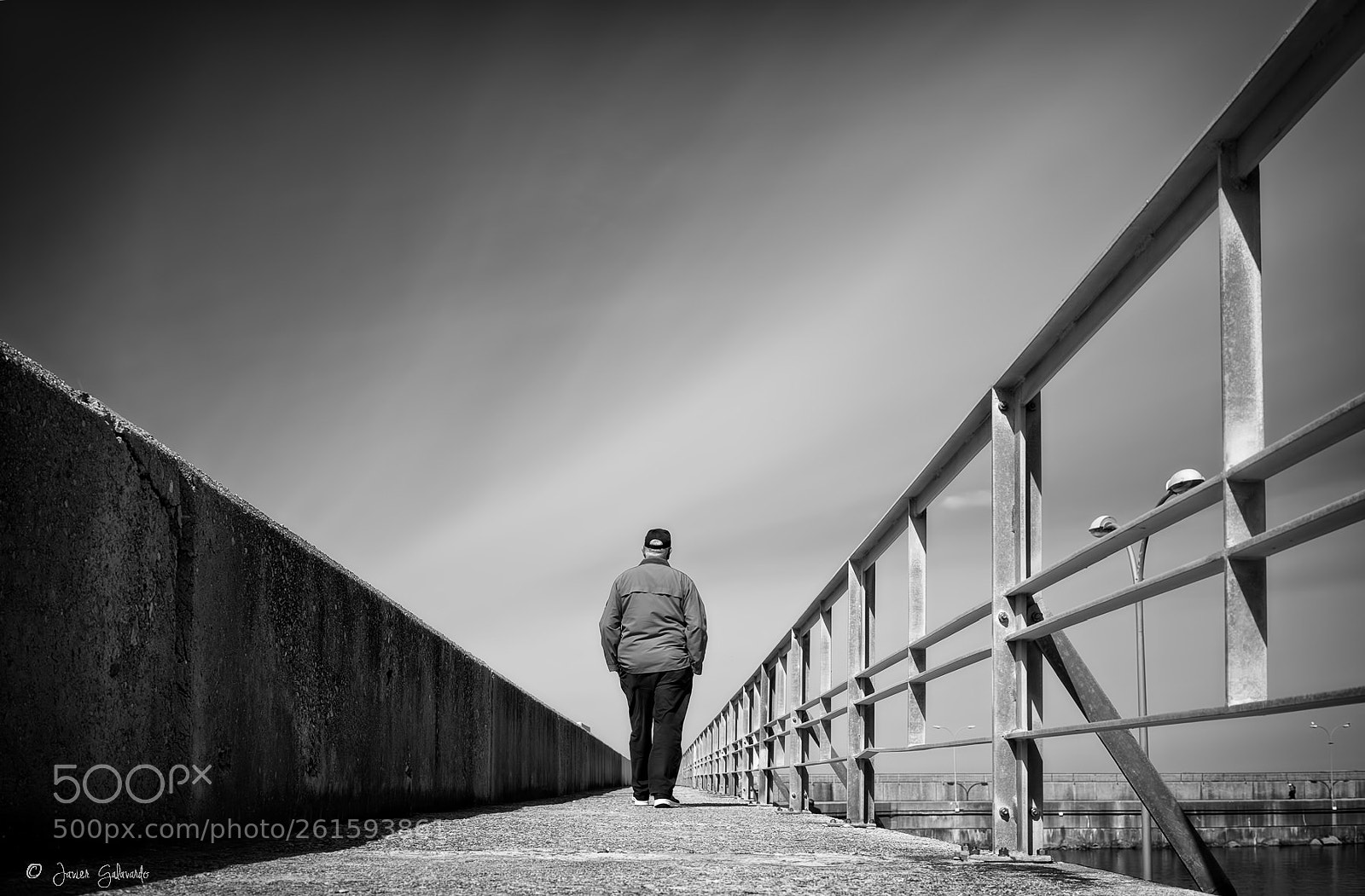 Sony a7 II sample photo. Walk like a man photography