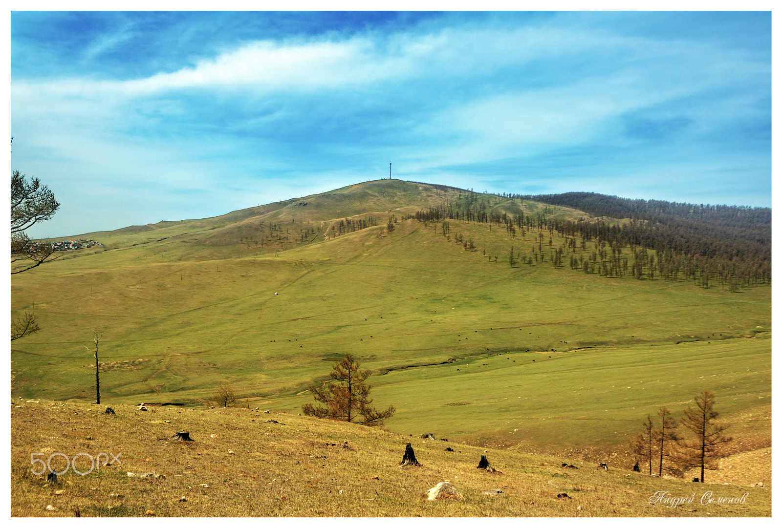 Nikon D5500 sample photo. And the forest is becoming less and less ... photography