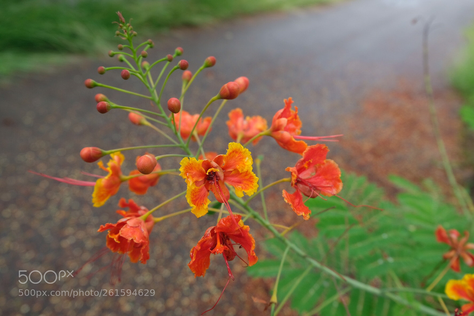 Fujifilm X-T20 sample photo. Untitled photography