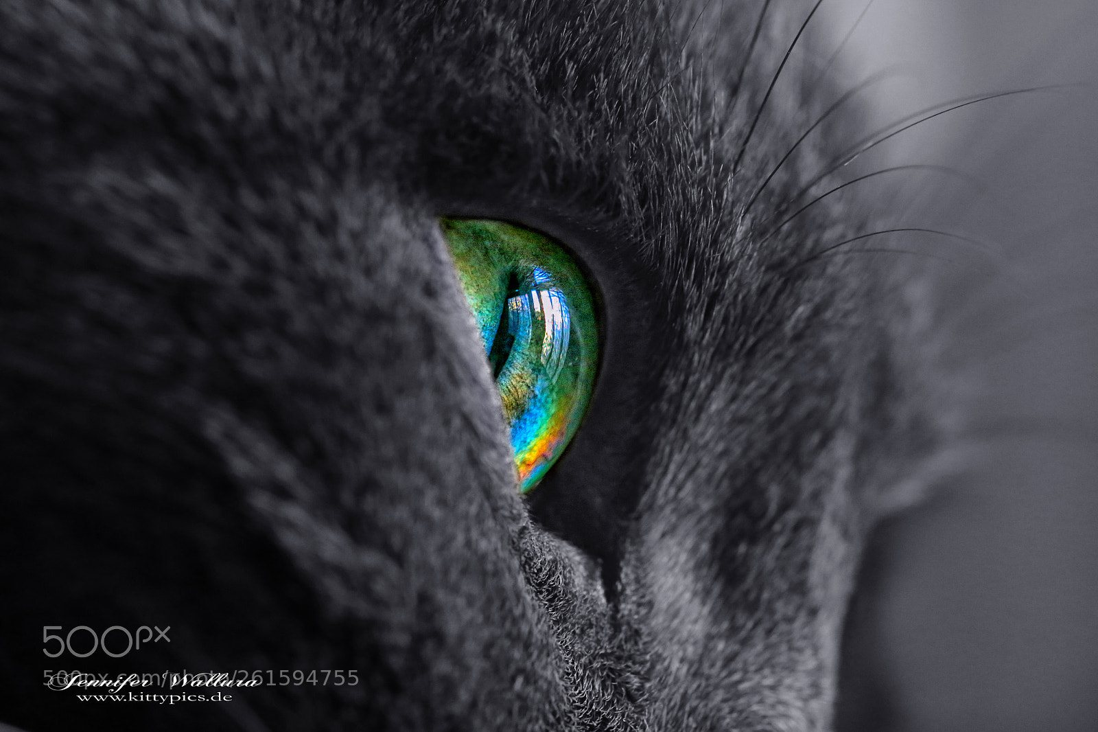 Canon EOS 6D sample photo. Rainbow reflection photography