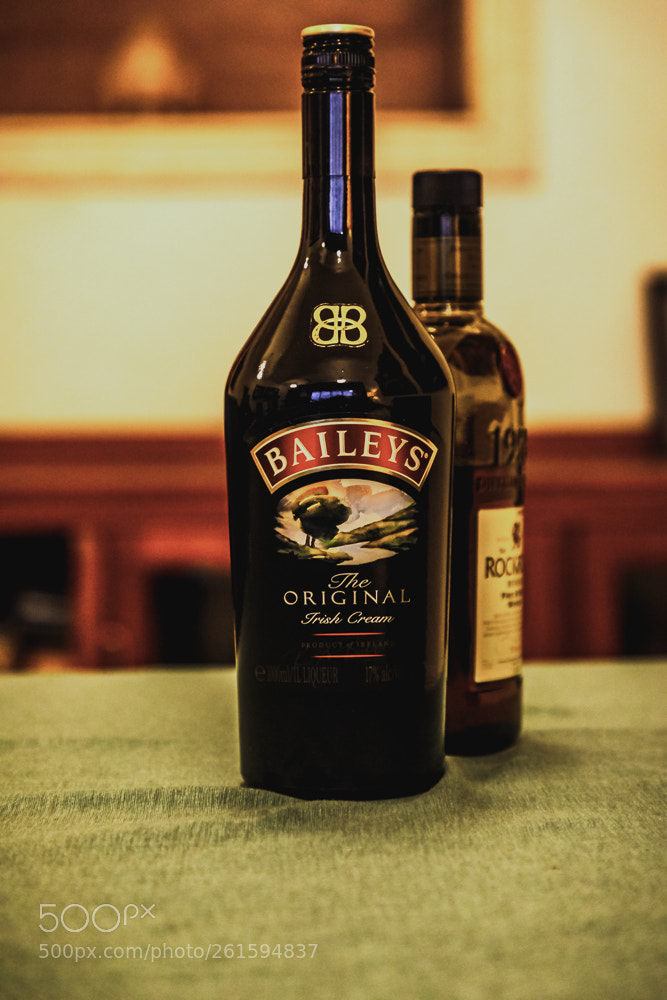 Canon EOS 5D Mark IV sample photo. Bailey's photography